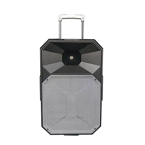 Professional stage 15 inch active plastic cabinet speaker box ,amplifier with USB/FM/SD/BT