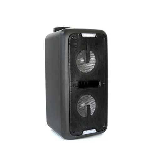 2X8 inch portable plastic speaker box, amplifier with USB/FM/SD/BT