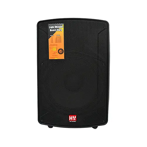 15 inch Active Plastic Professional Speaker,amplifier with DSP function manufacturer