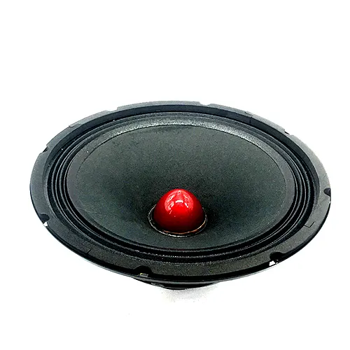 10'' Car Woofer with double 4OHM