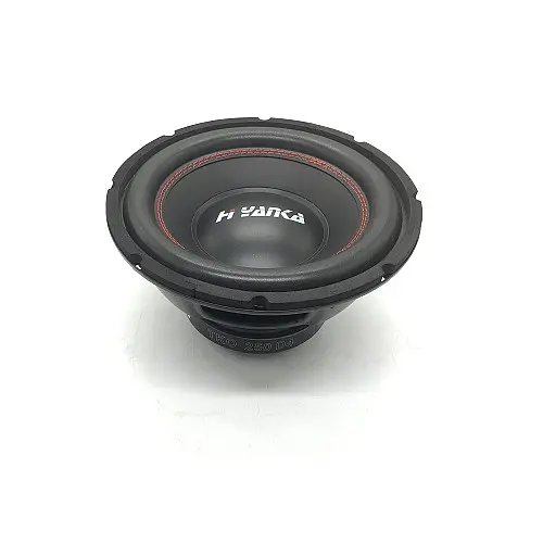 Fresh design 10'' Car speaker Car Subwoofer with double 4OHM